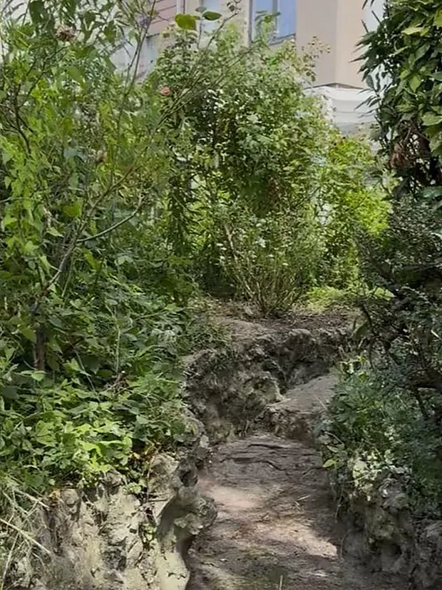 Le même talus dégagé, le sentier réapparu.